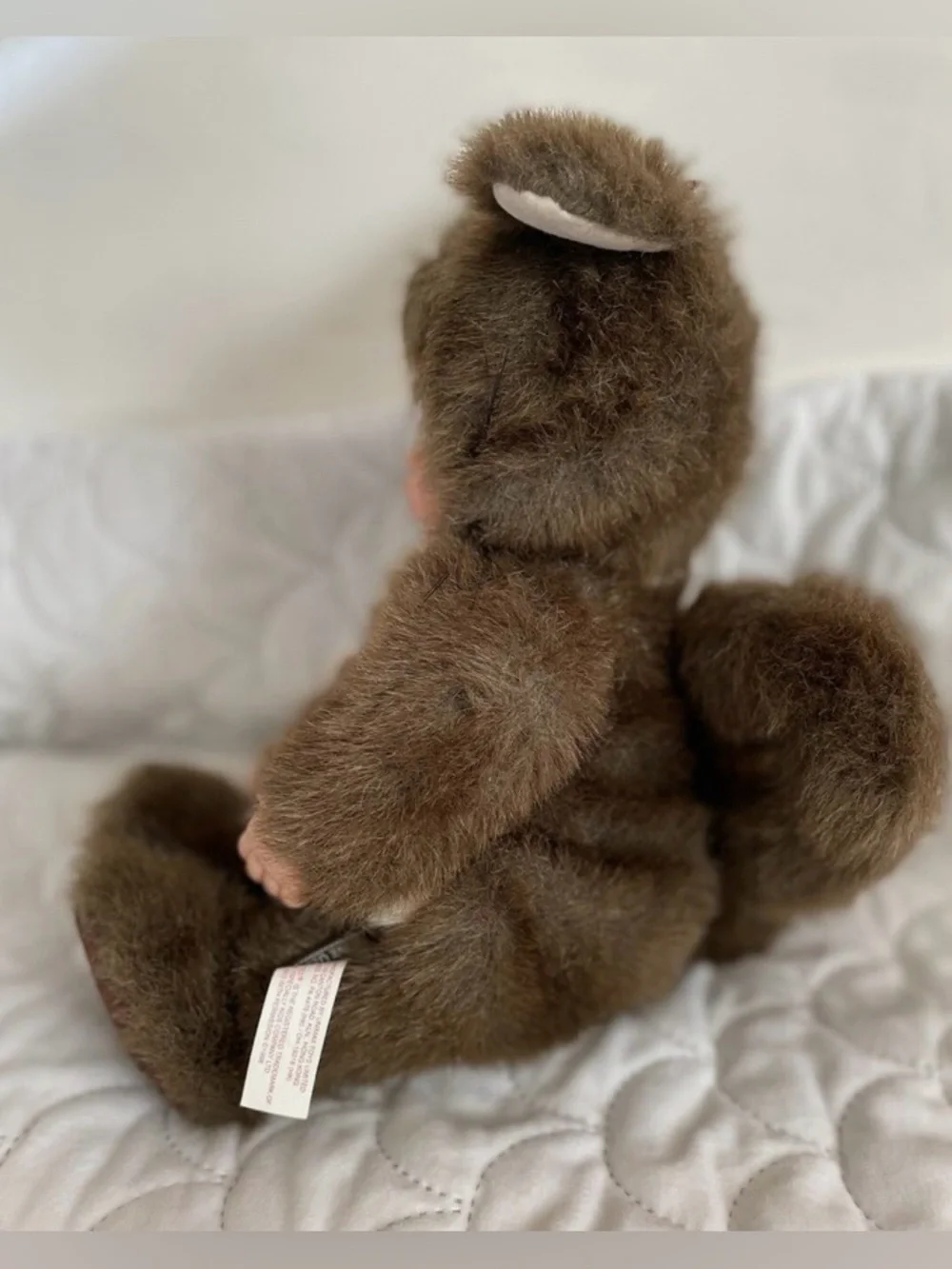 Anne Geddes 🐿️ vintage